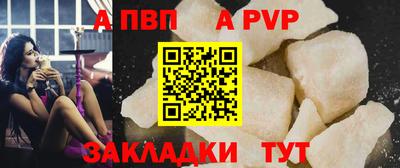 дмт Кингисепп