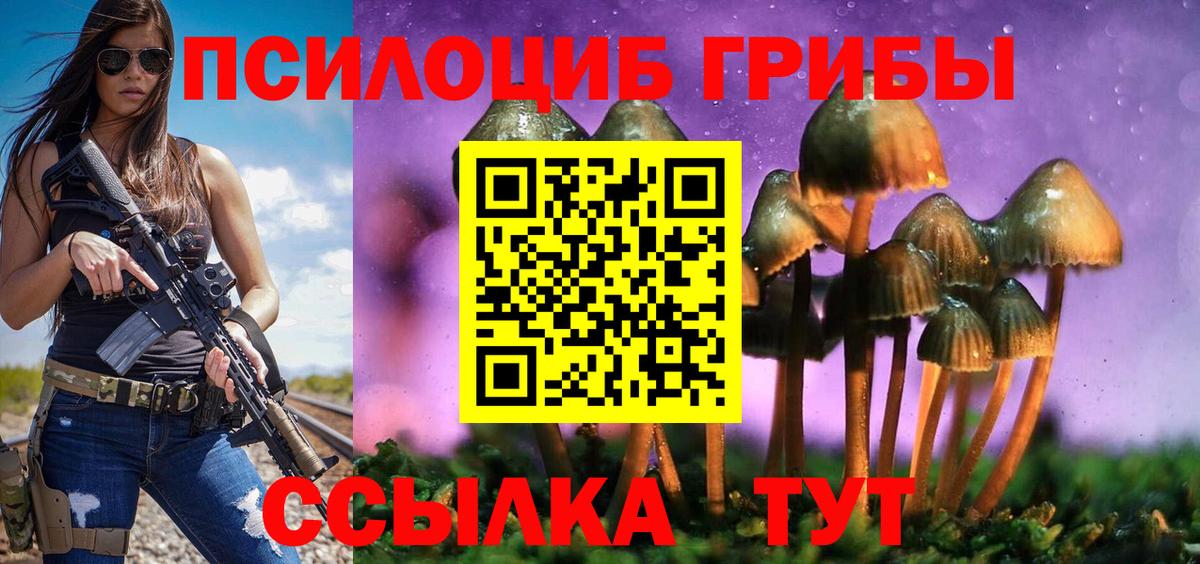 Псилоцибиновые грибы GOLDEN TEACHER Кропоткин