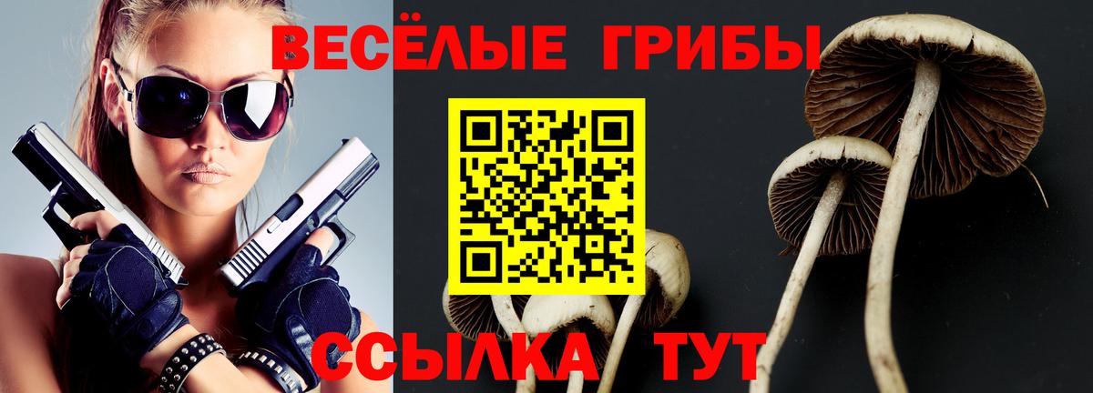 Галлюциногенные грибы Psilocybine cubensis  Вход с VPN  где можно купить   Кропоткин  Галлюциногенные грибы MAGIC MUSHROOMS 